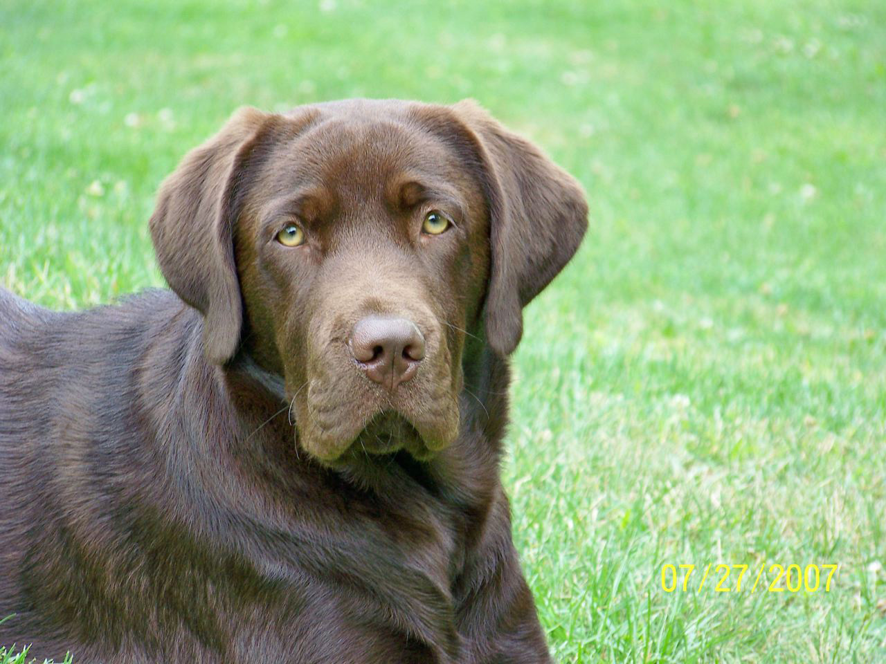 AMC Uniontown Animal Medical Center of Uniontown, PAAnimal Medical