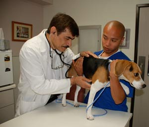 Routine Checkups