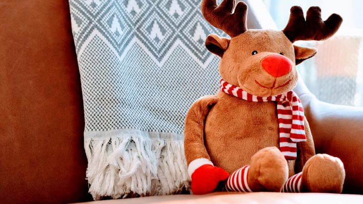 Give Your Pet a Safe Gift This Year Give Your Pet a Safe Gift This Year